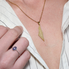Load image into Gallery viewer, Palestine Map Necklace "فلسطين"
